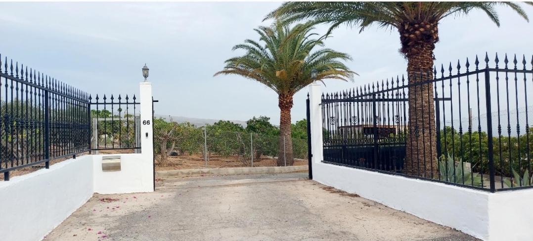 The Black Horse Canarias - Adults Only Maspalomas  Rum bild